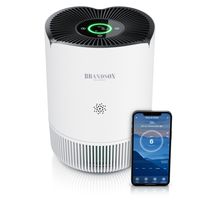 Brandson Luftreiniger leise, Air Purifier, Raumluftreiniger für 45 m² Räume, Allergiker H13 HEPA Filter entfernt 99,97% Viren Bakterien Allergene Staub Pollen Rauch Tierhaare