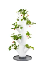 Gusta Garden SISSI STRAWBERRY starter selbstbewässernde Pflanzgefäße 4 Etagen, weiß