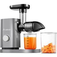 AOBOSI Entsafter Slow Juicer mit Reverse Funktion Knopf, Slow Masticating Juicer für Obst und Gemüse, 150W, Grau