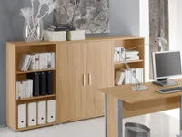Highboard Büroschrank Regal-Set Büroregale Aktenschrank Büromöbel "Clermont I"