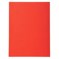 Exacompta AD A4 Forever 220 100St Rot