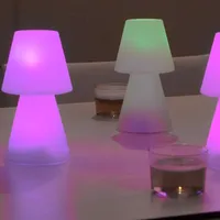 NewGarden LOLA 20 LED Tischleuchte RGB für 3 AAA Batterien
