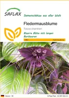 SAFLAX - Fledermausblume - 10 Samen - Tacca chantrieri