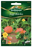 Quedlinburger Saatgut - Kürbis Topf-Mini Hokkaido Zora - Samen - 290403