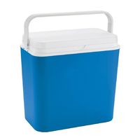 Kühlbox 24L grau/grün Kunststoff Kühltasche Kühlcontainer Thermobox 