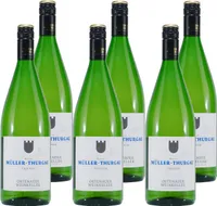 Müller-Thurgau Weißwein Baden -trocken- (6 x 1,0L)
