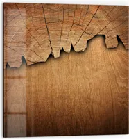 DEQORI Küchenrückwand Glas 60x60 cm 'Baumzeitzeugen' Spritzschutz Bad Rückwand Küche