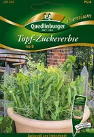 Quedlinburger Saatgut - Topf-Zucker-Erbsen Norli - Samen - 291243