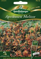 Aprikosen Melisse