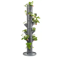 Gusta Garden SISSI STRAWBERRY štartovací samozavlažovací box 4 poschodia, antracitová farba, rozmery 27 × 27 × 77 cm