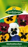 Quedlinburger Saatgut - Stiefmütterchen frühblühende Prachtmischung - Samen - 526462