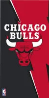 Carbotex CHICAGO BULLS Strandtuch Badetuch Duschtuch 70x140cm