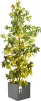 Elho Brussels Rund 22 - Blumentopf - Weiss - Innen - Ø 22.3 x H 20.6 cm