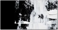 Coloray Küchenrückwand 120x60 Spritzschutz aus Glas - schwarz