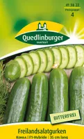 Quedlinburger Saatgut - Freilandsalat-Gurken Konsa - Samen - 413822
