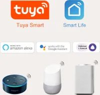 MiBoxer WiFi+2.4G RF Smart Steckdose mit Strommessung 16A | kompatibel mit Alexa/Google Home, Tuya, SmartLife | Weiß | SWEW