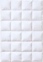 Kauffmann Daunendecke Sleepwell Comfort 140x200 cm extra teplý