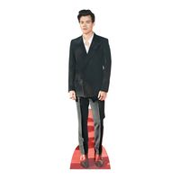 Harry Styles - Red Shoes - Star VIP - Mini Pappaufsteller Standy - 24x90 cm