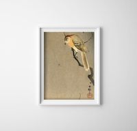 Poster - Canvas - Leinwand - 42 cm x 59,4 cm - Vogel auf einem Ast und Spinne