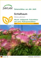SAFLAX - Schlafbaum - 50 Samen - Albizia julibrissin