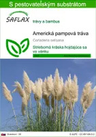 SAFLAX - Americká pampová tráva - Cortaderia selloana - 200 Semená - S pestovateľským substrátom bez klíčkov