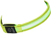LED Hundehalsband in Größe M in Gelb mit Akku und Blinkfunktion 3-6 Stunden