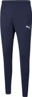 Puma teamRISE Poly Training Pant JR