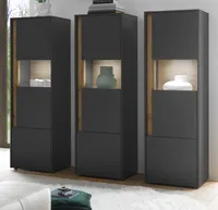 Schrank Set "Center grau matt mit Wotan Eiche, 3x Vitrine 190 x 155 cm