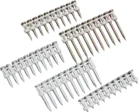 Makita Betonnagel 3,1x22 mm HC6 + Gas - 196287-1