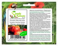 35x Pomodori Marinda Italia Tomaten Gemüse Garten Pflanzen - Samen #120