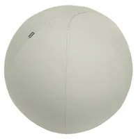 Esselte Leitz Ergo Active Sitzball hellgrau 75.0 cm