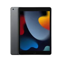 Apple iPad Wi-Fi 64 GB Grau - 10,2" Tablet