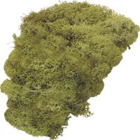 KNORR prandell 216695426 Islandmoos250g l.gn