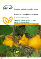 SAFLAX - rastlina kravského vemena - Solanum mammosum - 10 Semená
