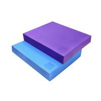 Orange Gym Balance Pad 2 Stück - 38x32,5x6 cm - Blau & Violett - Balance Kissen für Ganzkörpertraining