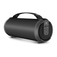 Caliber Kabelloser Travel Bluetooth Speaker - Tragbarer Party-Lautsprecher - AUX, SD und USB (HPG240BT)