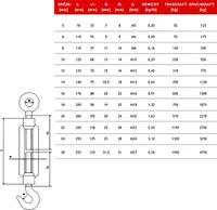 STAHLSEIL + 6 Klemmen + 2 Spannschloss Haken-Ose 3mm 15 Meter   6x7  Seil Seile Drahtseil DIN verzinkt