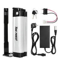 Ebike Akku Batterie 24V10,4Ah & Ladegerät  Prophete Phylion XH259-10J Zhenlong ZL07010-F