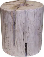 Favorit Schwedenfeuer Höhe 23 cm