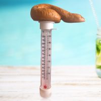 Thermometer Scheiße Form Hochpräzises Schwimmbecken-Streichthermometer Aus Kunststoff Für Whirlpools