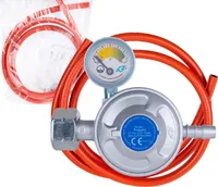 Gasanschluss-Set - Gasdruckregler mit Manometer + 2m Gasschlauch