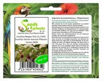 10x Carolina Reaper Chili (2,2 MIO Scoville) Garten Gemüse Pflanzen – Samen B896