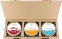 GREENDOOR Geschenk Set Balsam