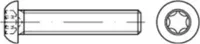 Flachkopfschrauben ISO 7380 -1 010.9 M 4x16 T vz 073801140040016 (500 Stück)