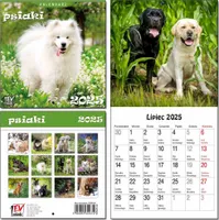 Kalendarz 2025 dla dzieci 13 planszowy Psiaki