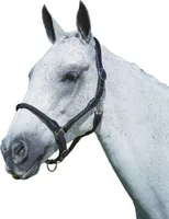 Kožená ohlávka Kincade WB407 (pony) (černá)