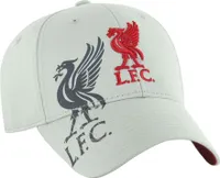 Liverpool FC - "Obsidian" Baseball Cap pre mužov/ženy Uni TA11051 (One Size) (Grey)
