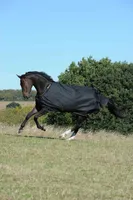 Bucas Irish Turnout 50 g Outdoordecke mit DermoCare Innenfutter black Regendecke 145 cm