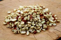 Bird´s Garden 25kg Erdnusskerne teilblanchiert Vogelfutter Ganzjahresvogelfutter