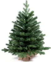 Künstlicher Weihnachtsbaum Bernard in Blumentopf 75cm, Tannenbaum Christbaum Kunstbaum Dekobaum mit Metallständer